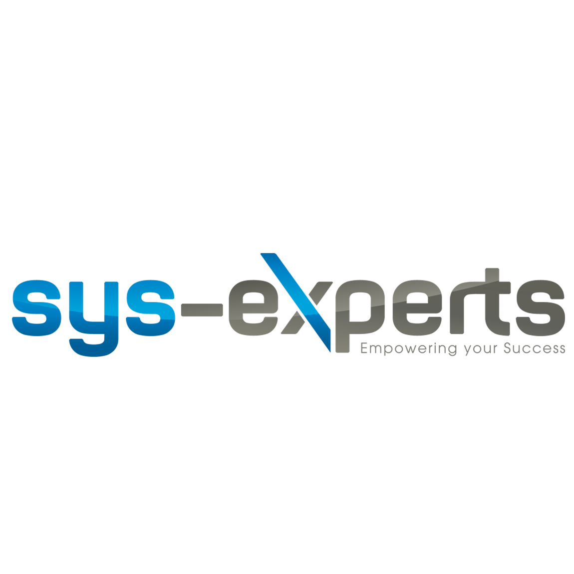 Sys-experts